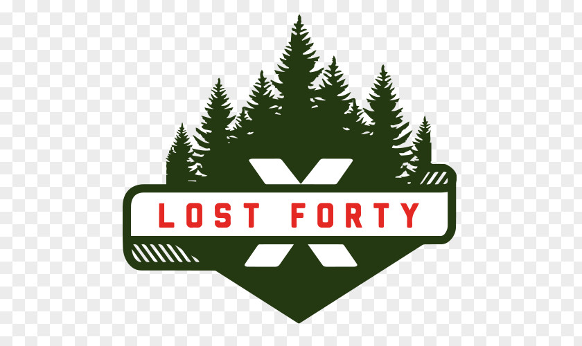Beer Lost Forty Brewing India Pale Ale PNG