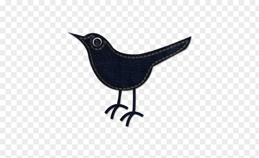 Blue Bird Columbidae PNG
