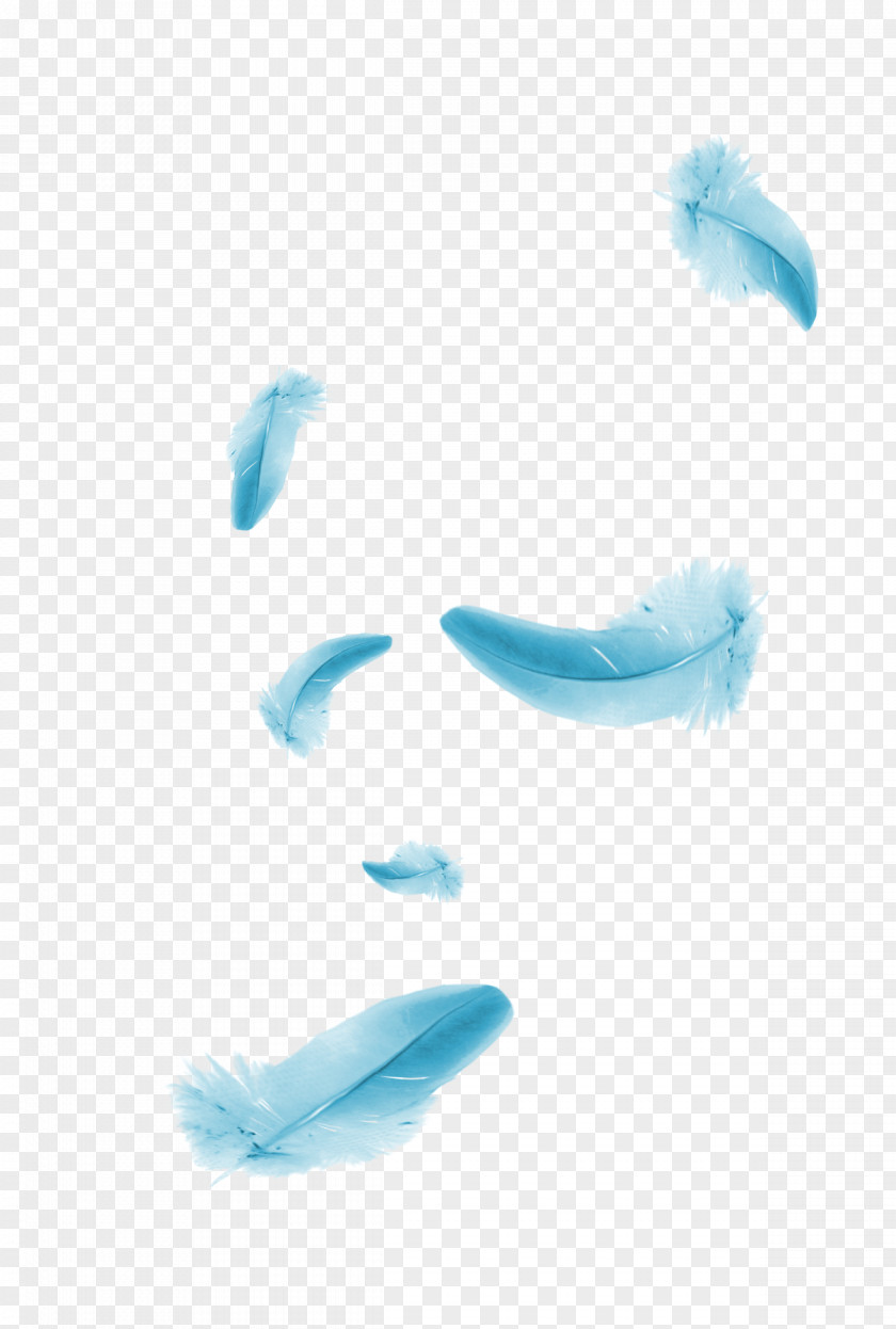 Blue Feather Floating Element Designer PNG