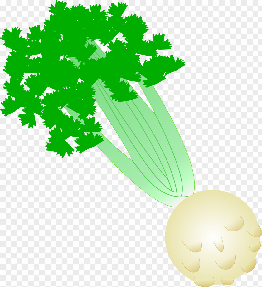 Celery Vegetable Celeriac Clip Art PNG