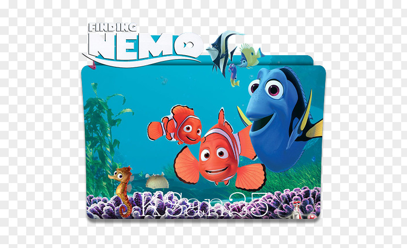Nemo Seagull Marlin Desktop Wallpaper Image Film Finding PNG