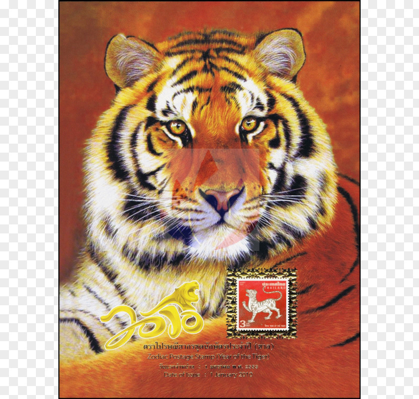 Chinese Zodiac Tiger Golden Siberian Bengal Felidae PNG