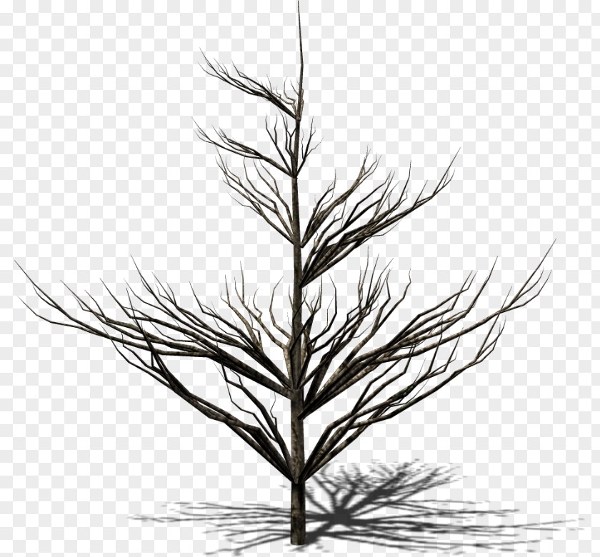 Painting Image Tree Drawing PNG