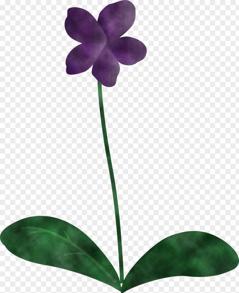 Violet Flower PNG