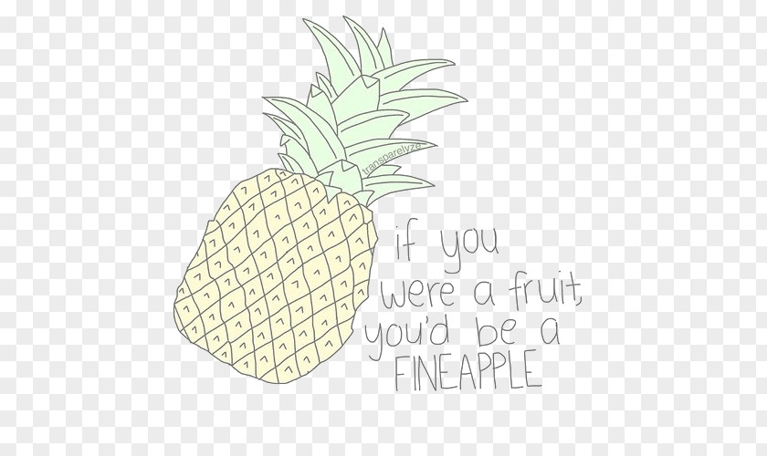 Youtube Fruit YouTube Humour Drawing PNG