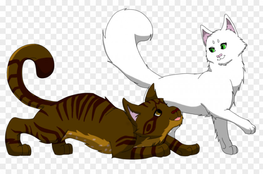 Cough Warriors Midnight Birchfall Whitewing Cat PNG