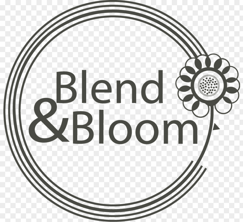 Fireworks Bloom Blend & Logo Brand Font Web Design PNG