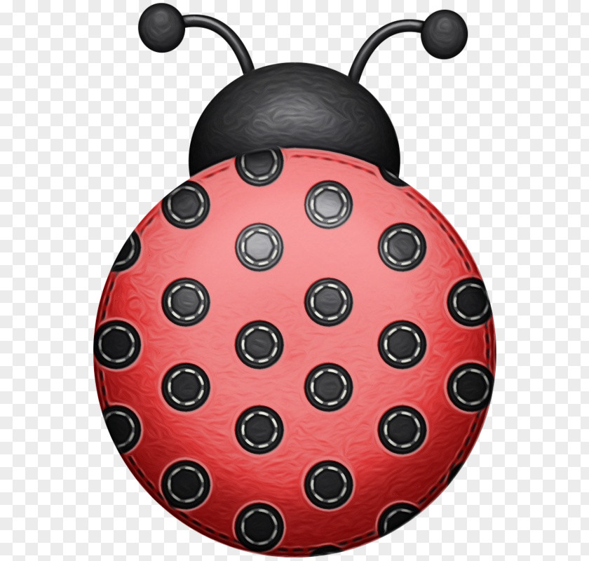 Ladybird Beetle PNG