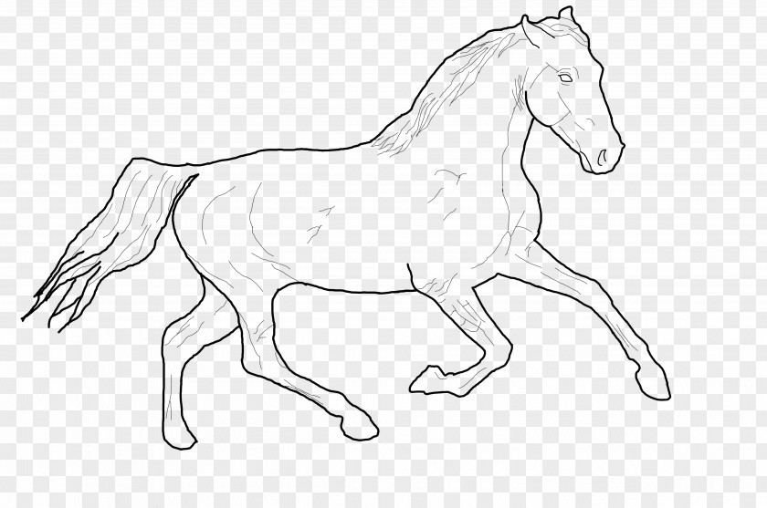 Line Drawing Art American Paint Horse Foal Mustang Pony PNG