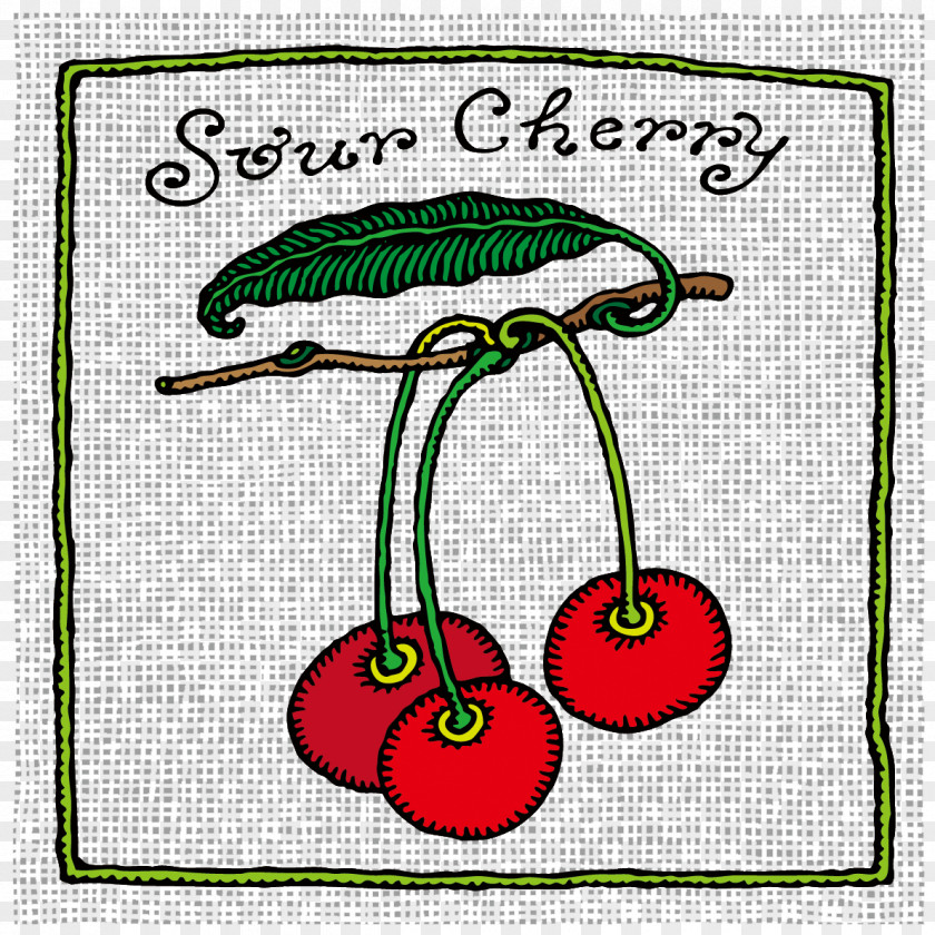 Vector Hand-painted Cherry Sour Drawing Fruit PNG