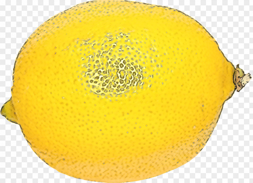 Yellow Fruit Muskmelon Plant Citrus PNG