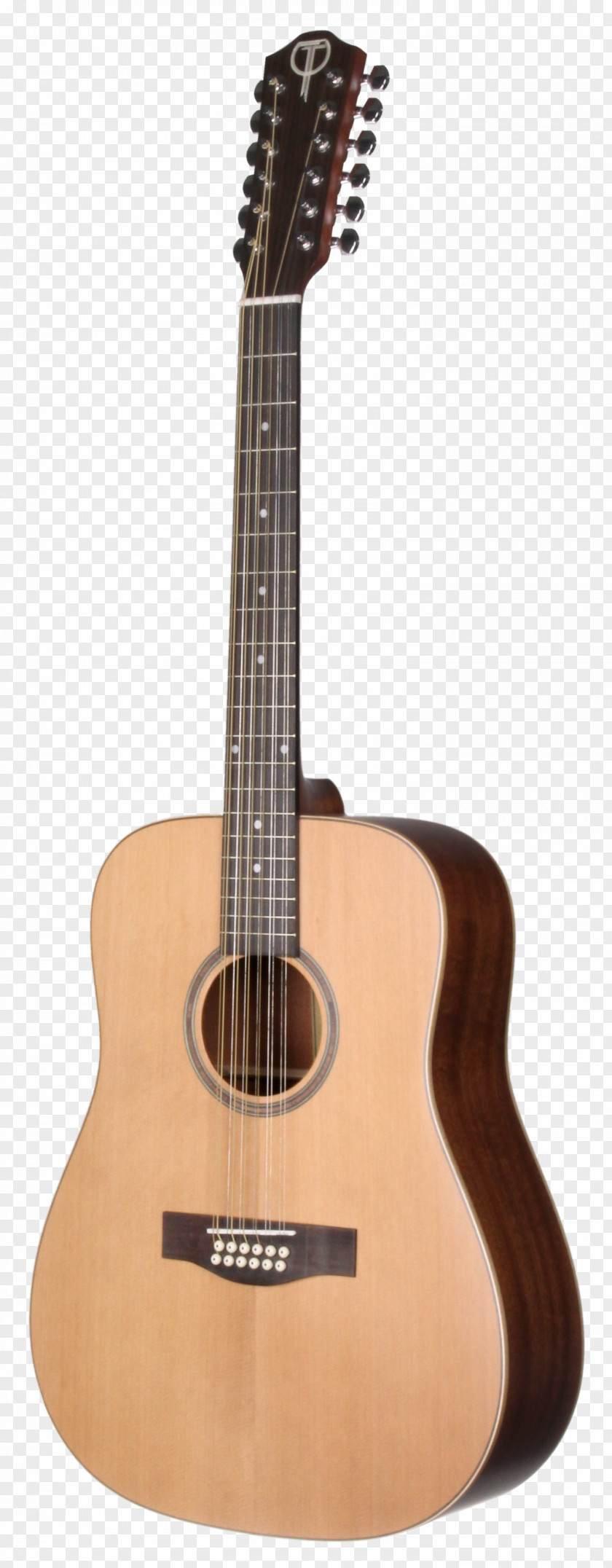 Acoustic Guitar NAMM Show Dreadnought Classical PNG