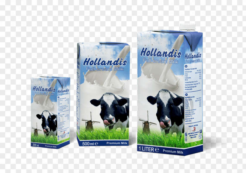 Custard Powder Raw Milk Cream Dairy Cattle Soured PNG