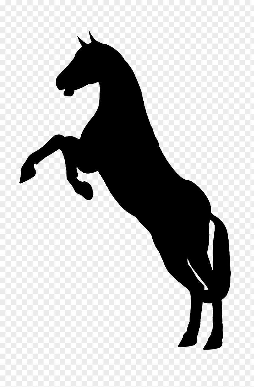 Horse Stallion Rearing Clip Art PNG