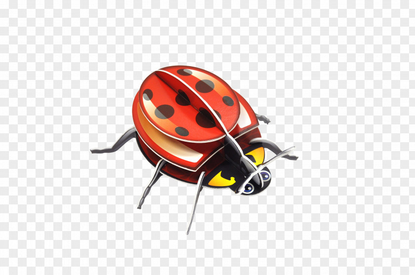 Insect Ladybird Beetle Three-dimensional Space Animal Paper PNG