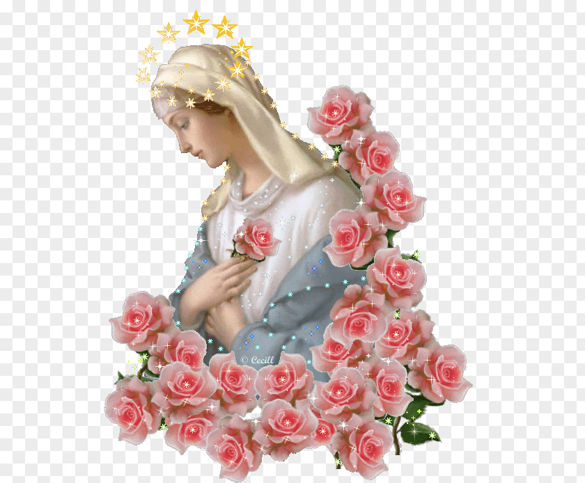 Mary Our Lady Of Fátima Guadalupe Rose Rosa Mystica PNG