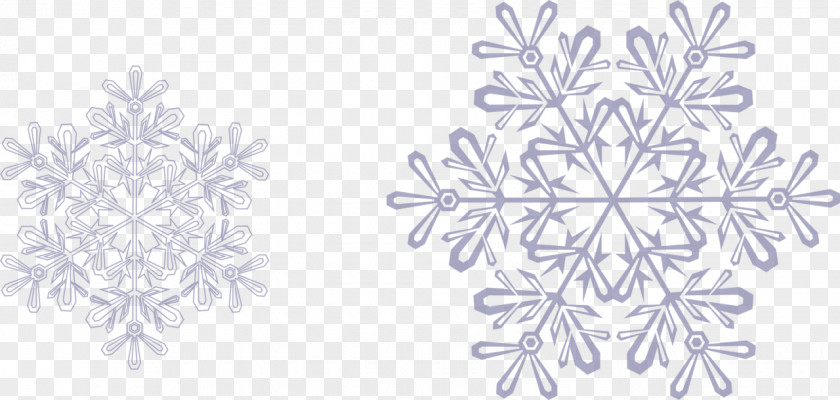 Snowflake Christmas Light Ded Moroz PNG