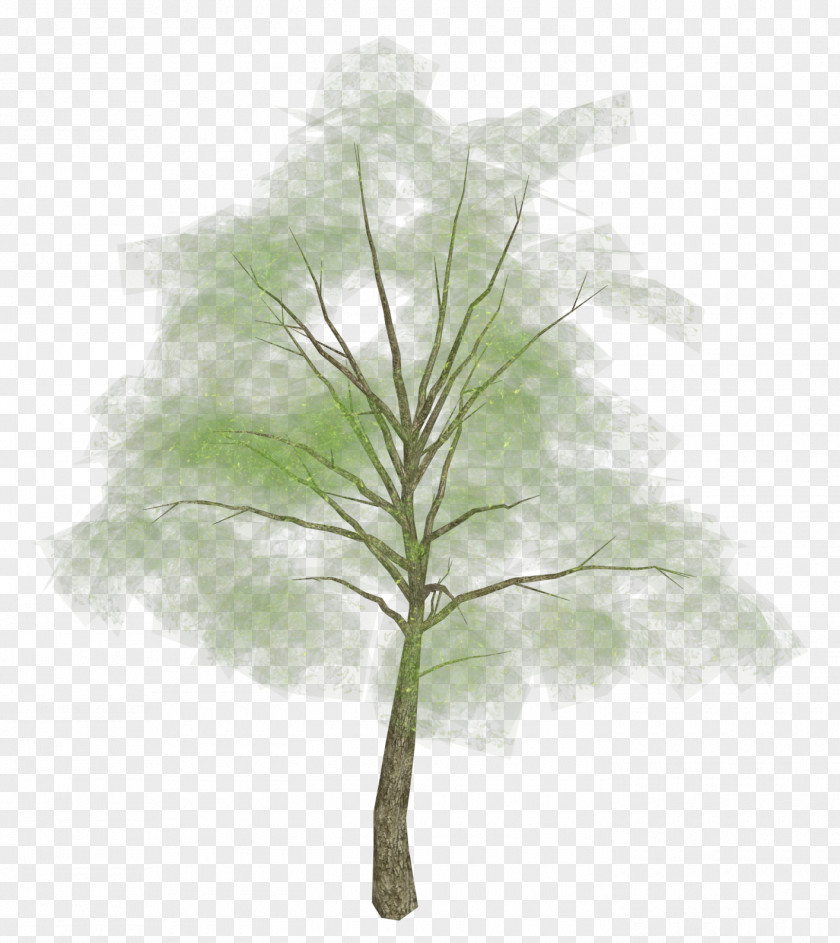Tree Branch Mumble Clip Art Image Drawing PNG