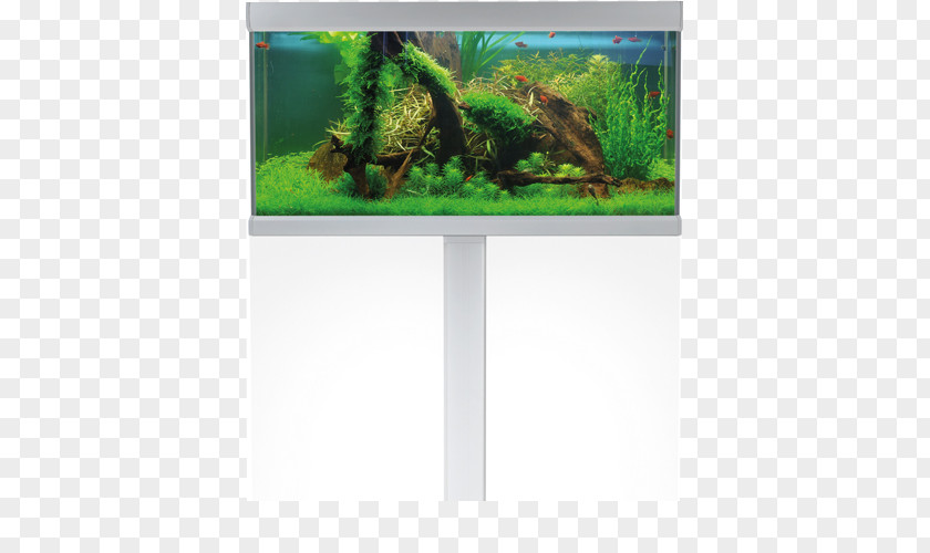 Aquariums Akva Stabil Price White PNG