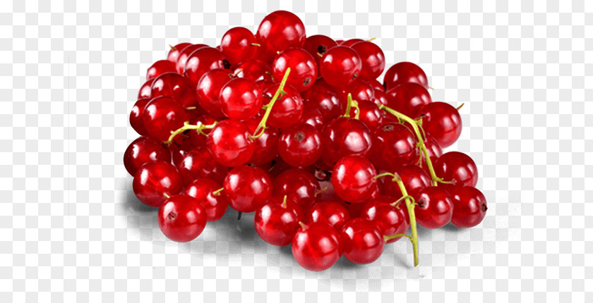 Currant Berries Lingonberry Zante Fruit Boysenberry PNG