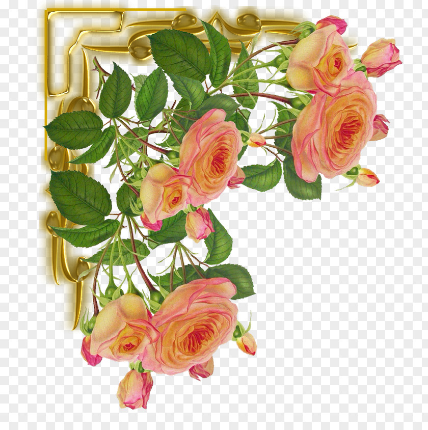 Foto Cut Flowers Garden Roses Color Pin PNG