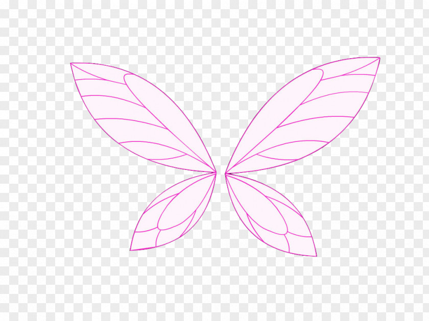 Line Pink M PNG