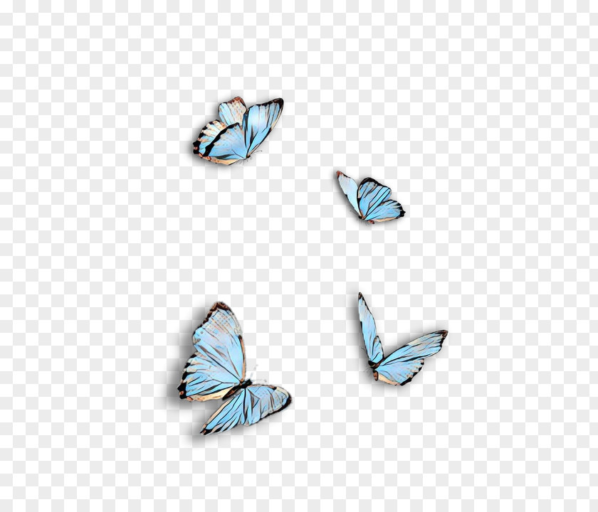 Lycaenid Earrings Butterfly Wing PNG