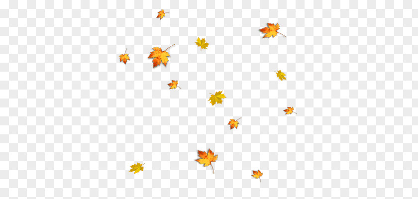 Autumn Animated Film Desktop Wallpaper Clip Art PNG