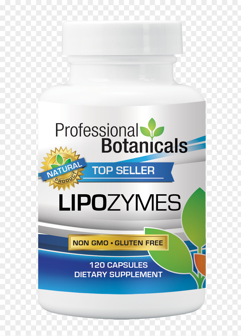 Medical Store Dietary Supplement Service Professional Botanicals Liver PNG