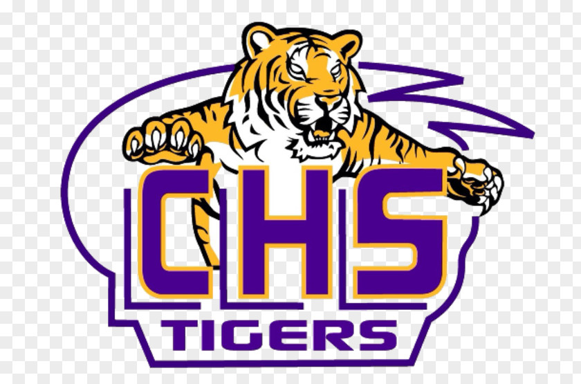 Tiger Columbia High School Wildcat PNG