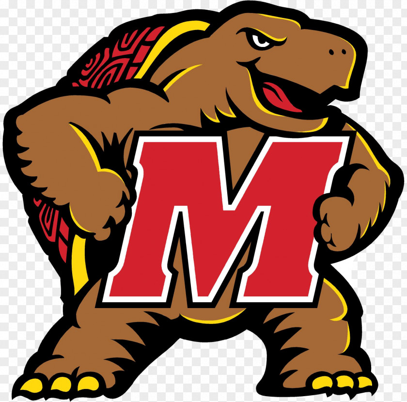 University Of Maryland Logo Png Umd Edu Terrapins Men's Basketball Soccer National Collegiate Athletic Association PNG
