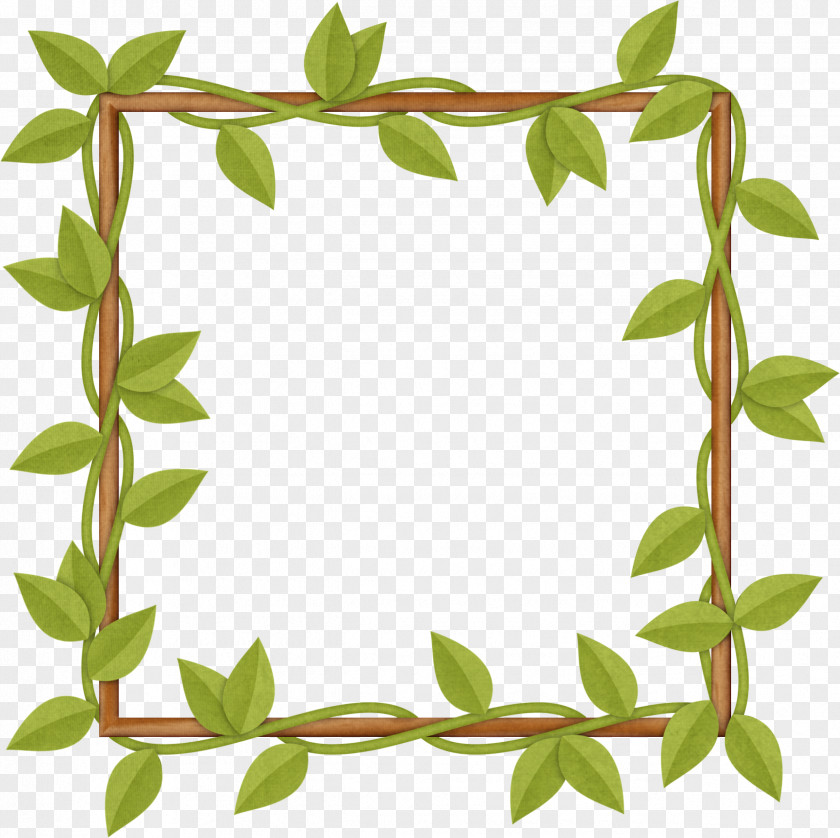 Brown Frame Leaf Picture Frames Vine PNG
