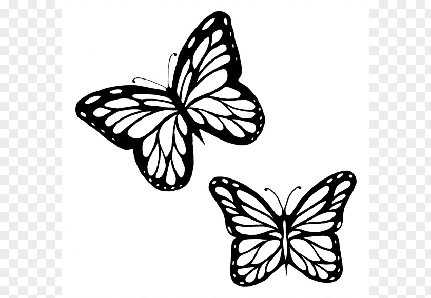 Butterflies Black And White Outline Monarch Butterfly Drawing Clip Art PNG