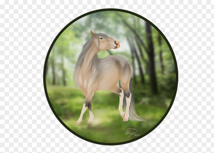 Deep Forest Mustang Fauna Freikörperkultur Yonni Meyer Sadio Mané PNG