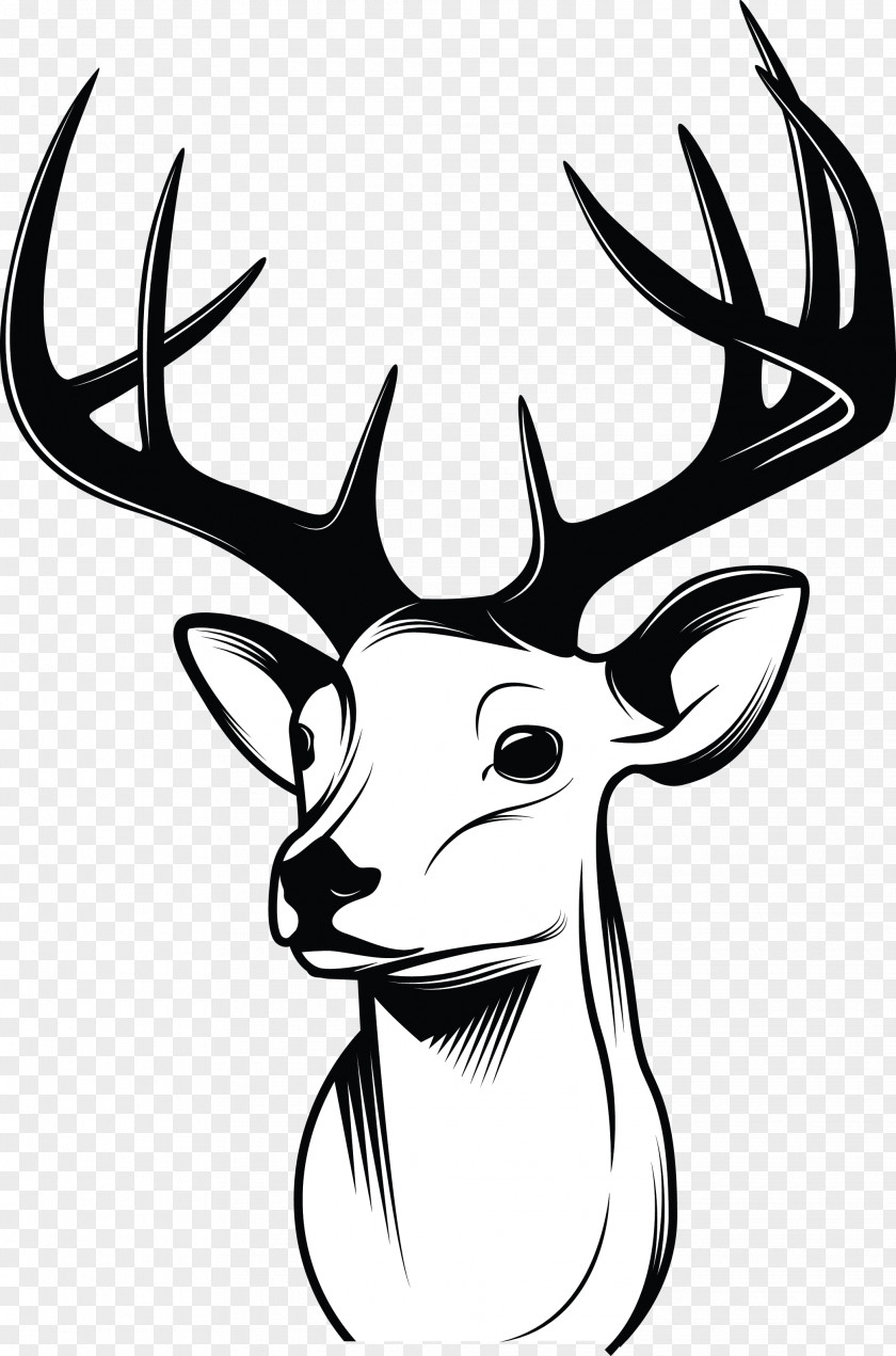 Deer Horns Drawing Sketch PNG
