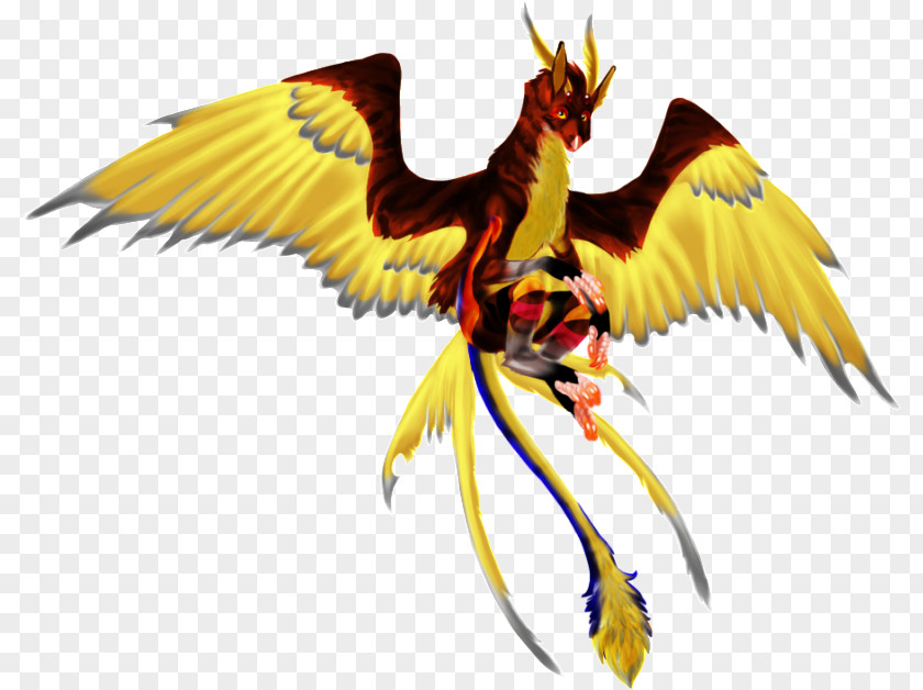 Flying Phoenix Dragon Hybrid Macaw Griffin PNG