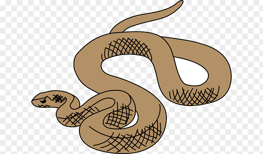 Happy Cartoon Snake Snakes Reptile Eastern Brown Clip Art Vertebrate PNG