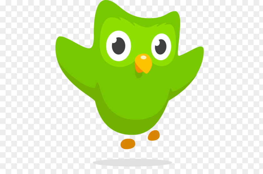 Owl Duolingo Learning Language Acquisition PNG