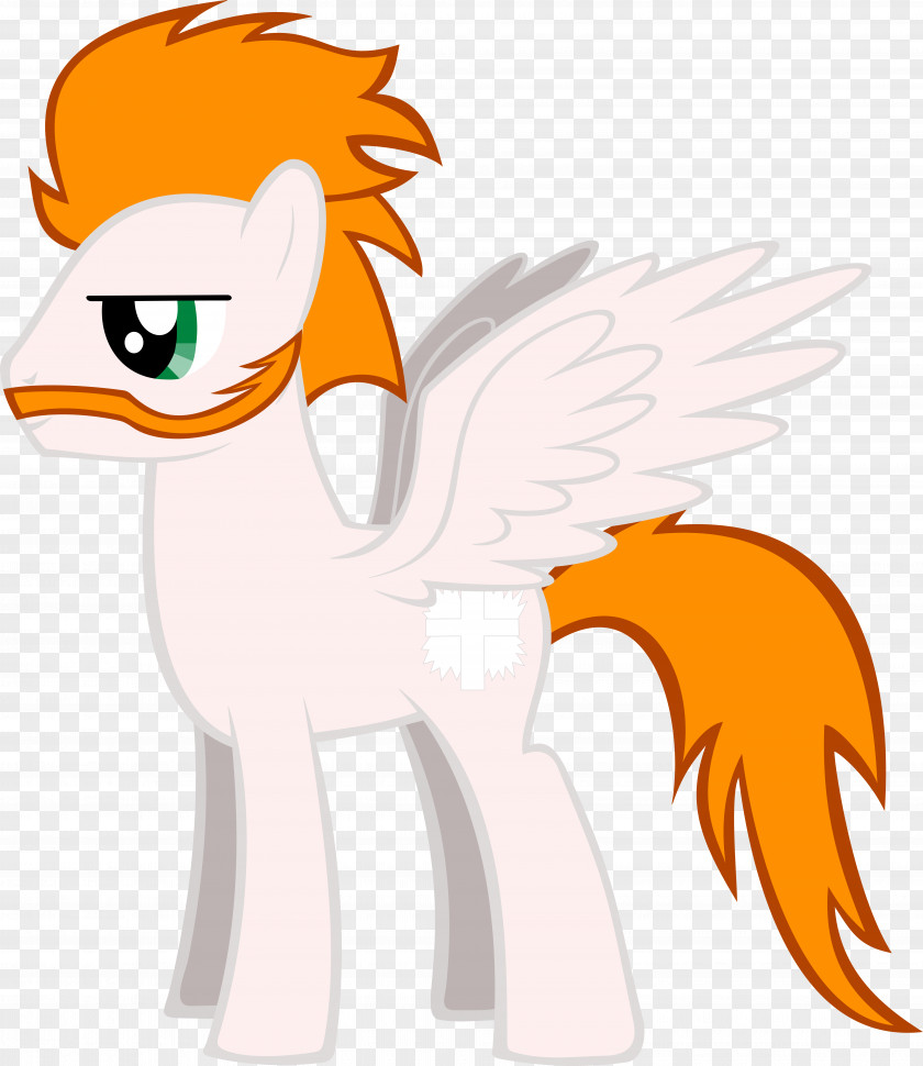 Sheamus Horse Mammal Pony Bird Animal PNG