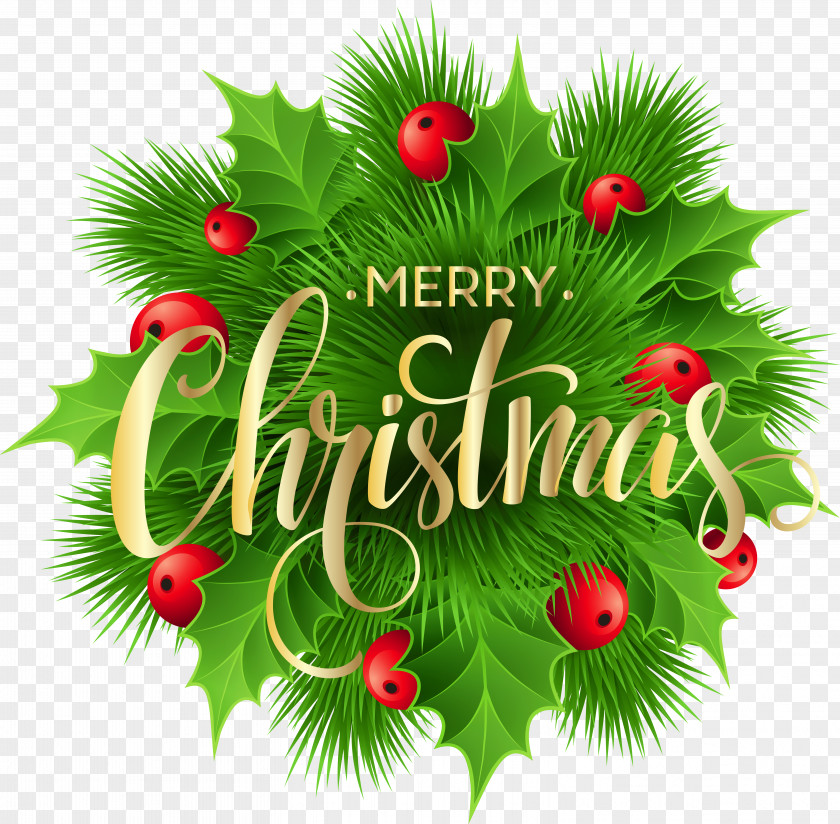 Merry Christmas Clipart Pine Text PNG