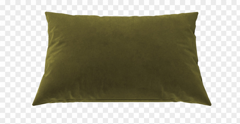 Pillow Cushion Throw Pillows Rectangle PNG