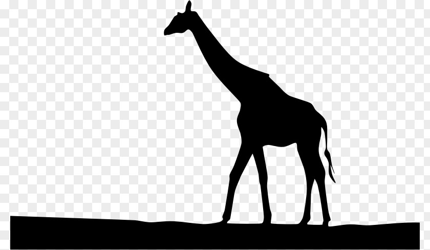 Silhouette West African Giraffe Royalty-free Clip Art PNG