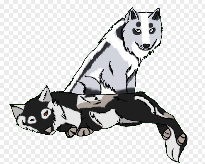 Tshirt Wolfdog Cat And Dog Cartoon PNG