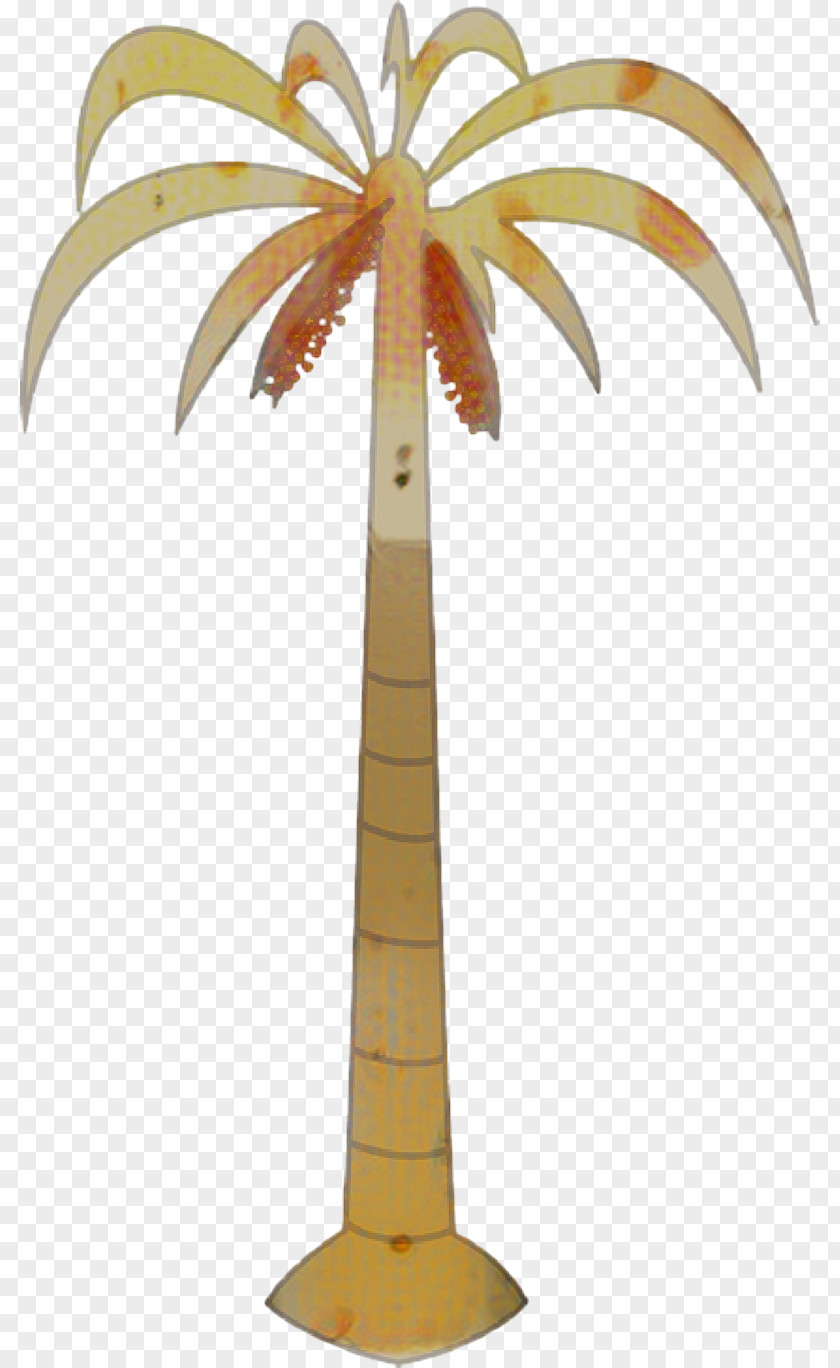 Woody Plant Coconut Tree Drawing PNG