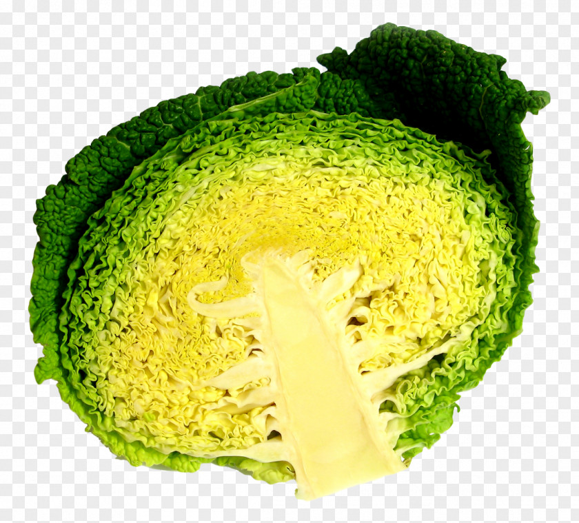 Cabbage Half Broccoli Vegetarian Cuisine PNG