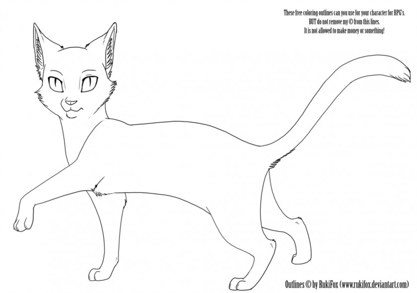 Cat Template Kitten Whiskers Warriors Sketch PNG