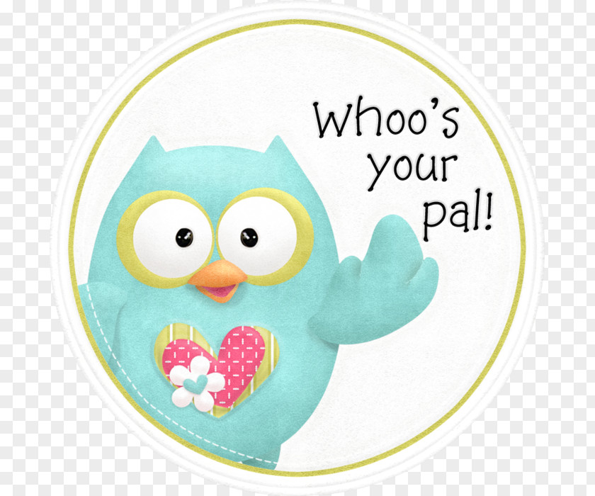 Sshh Little Owl Bird Tawny PNG