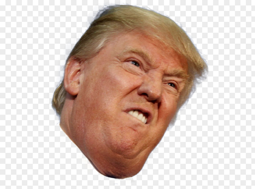Donald Trump Png Available In Different Size United States T-shirt Republican Party You've Been Trumped PNG