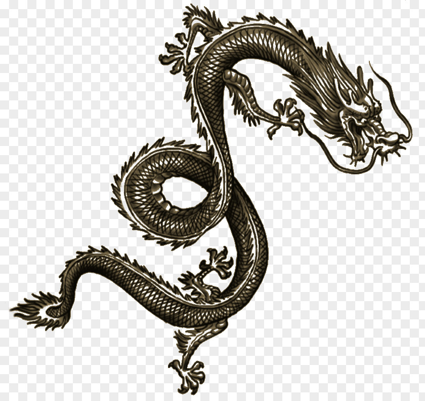 Dragon Sleeping Dogs Tattoo Artist Chinese PNG