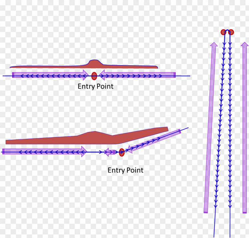 Education Chin Point Direction Vector Length Distance PNG